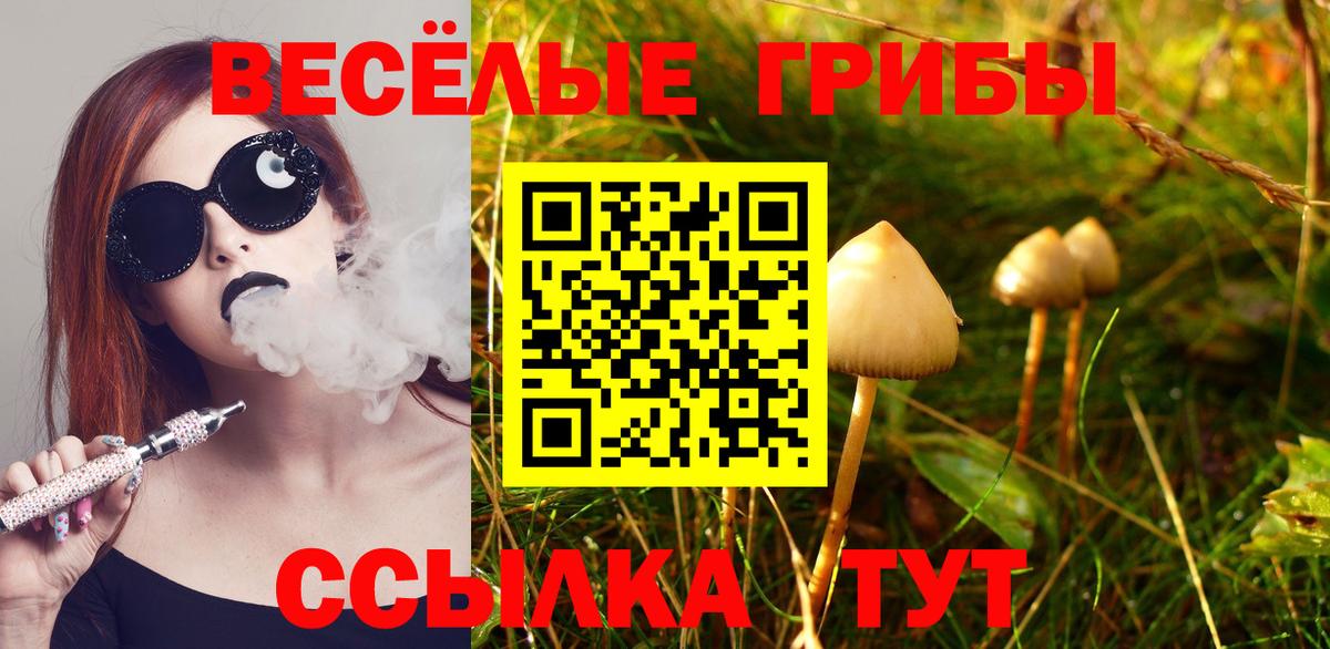 Псилоцибиновые грибы мухоморы  Вход с VPN  магазин  наркотиков  Губкинский 