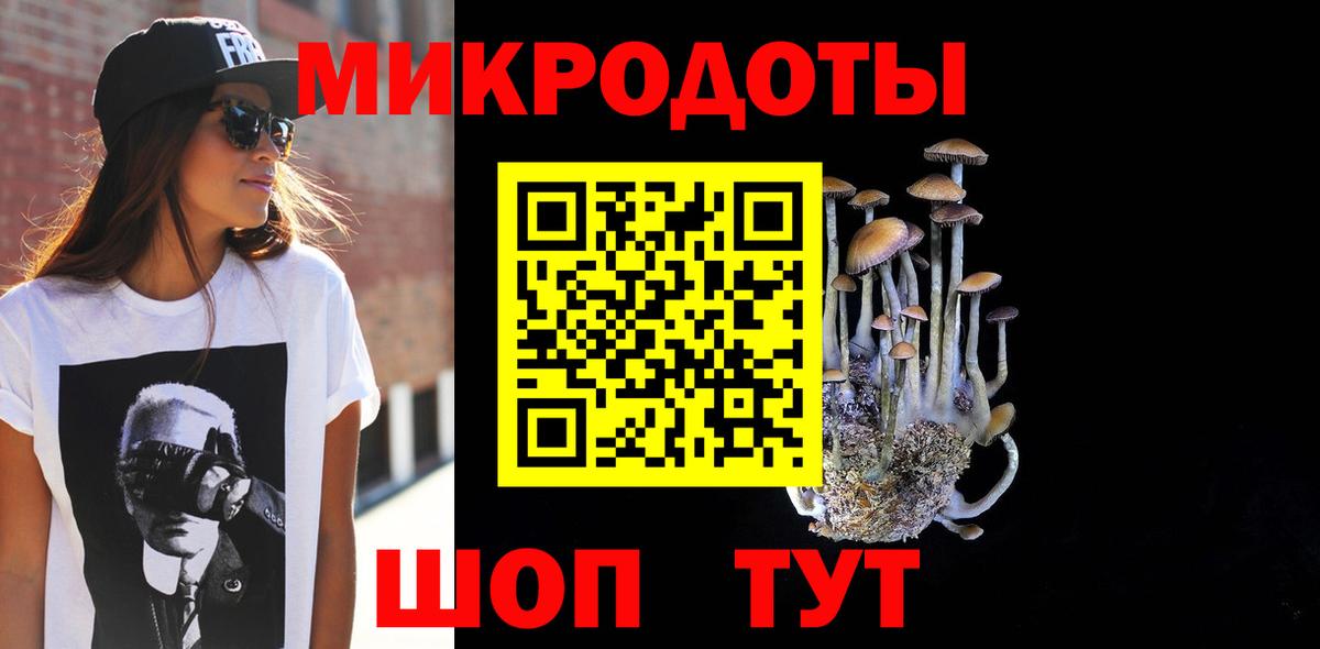 Галлюциногенные грибы прущие грибы Губкинский